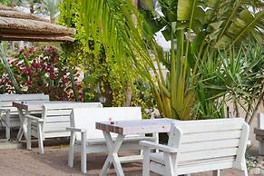 Ein Bokek Rose in Eilat