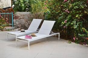 Ein Bokek Rose in Eilat