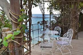 Ein Bokek Rose in Eilat