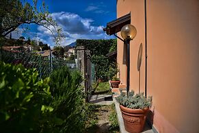 Pescallo Mandarin by Wonderful Italy