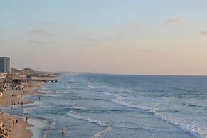 Masaryk Musk in Bat Yam