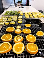 Domo Achenza Guesthouse