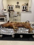 Domo Achenza Guesthouse