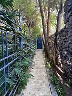 Magnolias Jardin & Boutique Suites