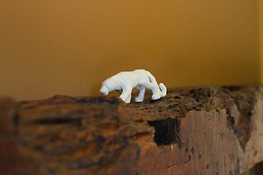 Pousada Butique L'esperienza - Ecoturismo