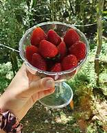 Pousada Butique L'esperienza - Ecoturismo