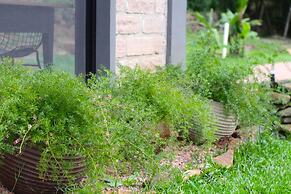 Pousada Butique L'esperienza - Ecoturismo