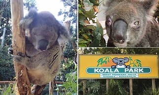 Neogaia Bed & Breakfast