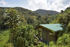 Gorilla Hills Eco Lodge