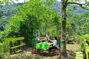 Gorilla Hills Eco Lodge