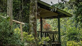 Gorilla Hills Eco Lodge