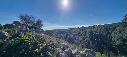 Case Tre Palme a San Lorenzo