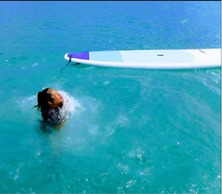 Destin Studio Beach Across the Street