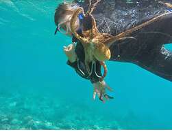 Destin Studio Beach Across the Street