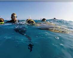 Destin Studio Beach Across the Street