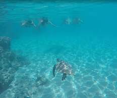 Destin Studio Beach Across the Street