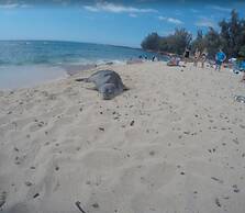 Destin Studio Beach Across the Street