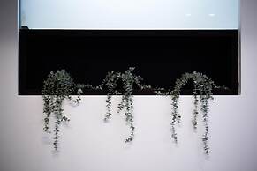 Via Morghen 63 in Napoli