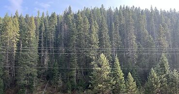 South Fork Junction Lodge & RV Park