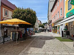 Apartment in Mariazell Near ski Area