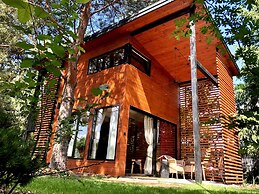 A Modern House on the Edge of the Forest