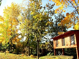 A Modern House on the Edge of the Forest