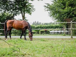 Spacious Holiday Home in Leende With Garden