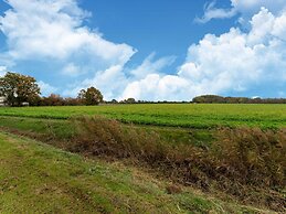 Beautiful Holiday Home in Scherpenisse
