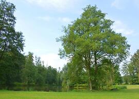 Holiday Home in Modave With Garden