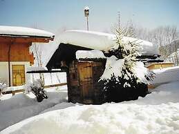 Ferienwohnung mit Fun+ Card in Niedernsill