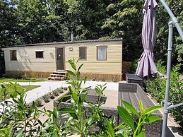 Chalet Near the Woods of Appelscha