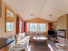 Chalet Near the Woods of Appelscha