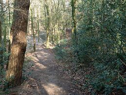 Chalet Near the Woods of Appelscha