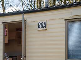 Chalet Near the Woods of Appelscha