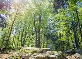 Familienurlaub im Bayerischen Wald