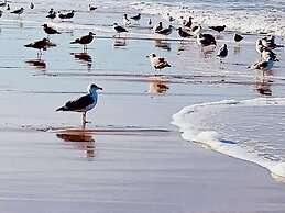 Nice Holiday Residence in De Koog Near the Beach