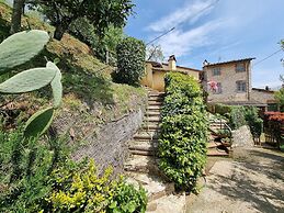 Apartment in Orbicciano With Pool