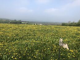 Stone House in Hamoir With Private Pool