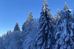 Stone House in Hamoir With Private Pool