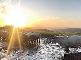 Stone House in Hamoir With Private Pool