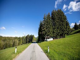 Apartment in Fresach Near Millstattersee With Pool