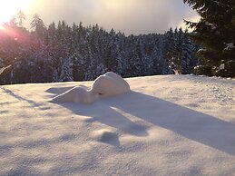 Apartment in Fresach Near Millstattersee With Pool