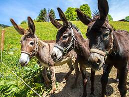Elegant Apartment Near the ski bus