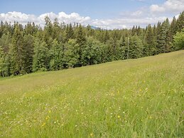 Apartment in Mooswald in Carinthia With Pool