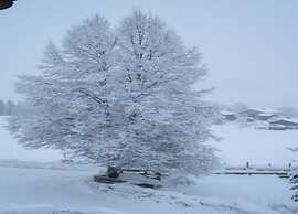 Spacious Holiday Home in Niedernsill