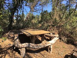 Casa Vacanze a Sassetta con Giardino