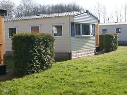 Beautiful Chalet in Appelscha Near the Woods