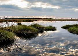 Tranquil Retreat in Appelscha