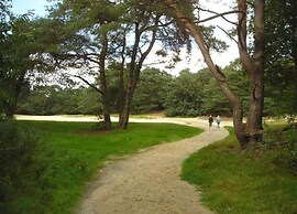Tranquil Retreat in Appelscha
