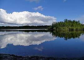 Tranquil Retreat in Appelscha